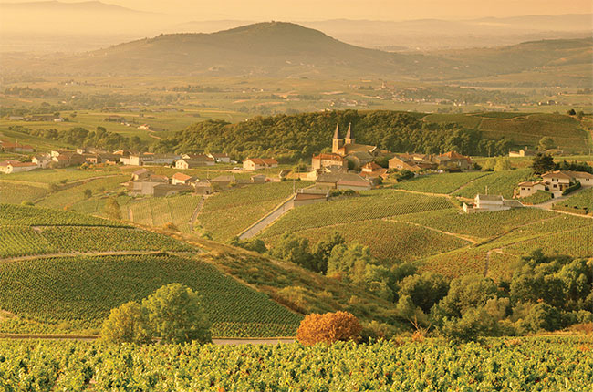 All You Can Taste Round 2: Burgundy & Beyond at mato